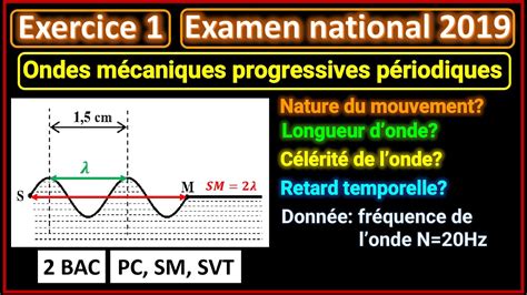 Exercice 1 Ondes mécaniques progressives périodiques extrait de l