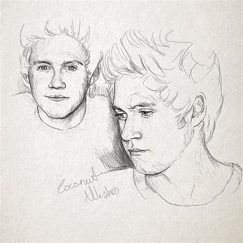 One Direction Fan Art One Direction Drawings Niall Horan Sketches