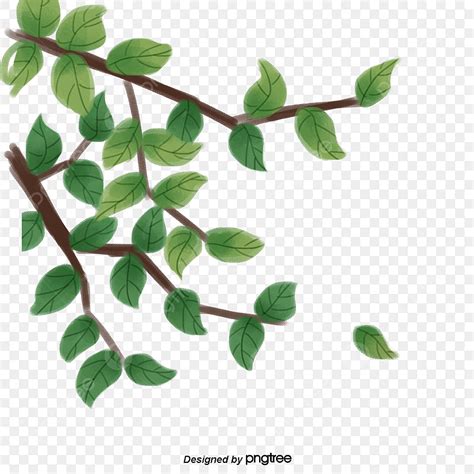 Branch Of Leaves Clipart Hd PNG Green Plants Branches And Leaves