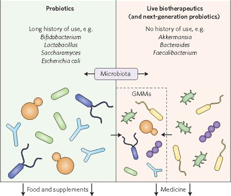 Figure From Next Generation Probiotics The Spectrum From Probiotics