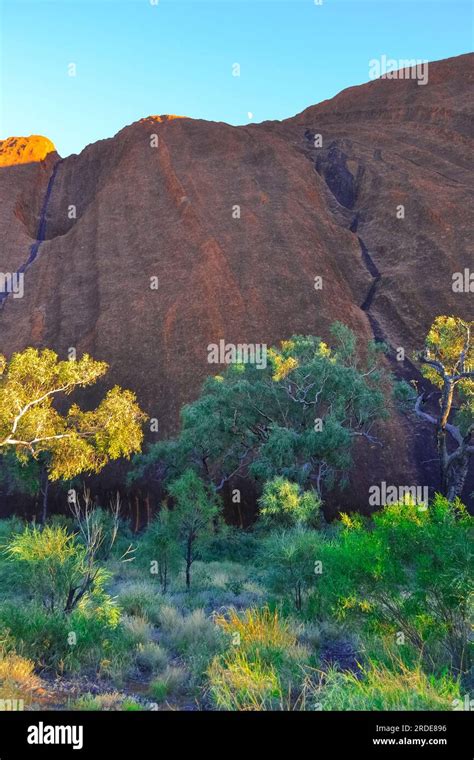 Beautiful View Of Uluru Ayers Rock During Sunrise At Uluru Kata Tjuta