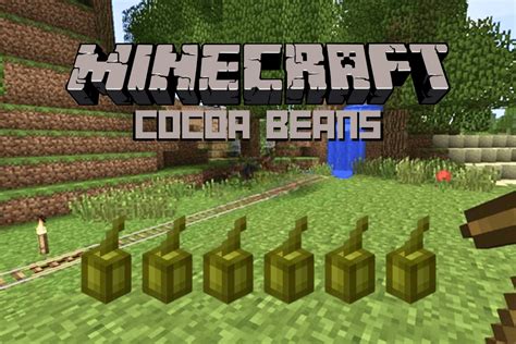 Cómo plantar y cultivar granos de cacao en Minecraft en Xbox 360