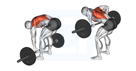 Barbell Pendlay Row - Guide, Benefits, and Form