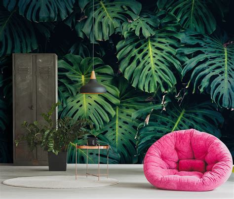 Monstera Leaf Wall Mural Peel And Stick Tropical Wallpaper Etsy Australia