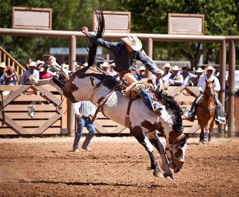 Burch S Lunatic Fringe At Deadwood South Dakota Lunatic Fringe Is