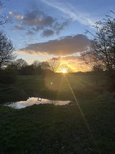 Best River Trails In Epping Forest Alltrails