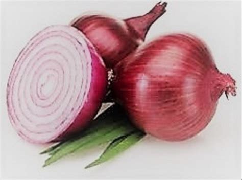 A Grade Maharashtra Fresh Red Onion Net Bag Onion Size Available