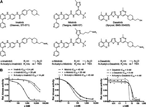 The Coupleable Analogues Of The Bcr Abl Inhibitors Retain C Abl