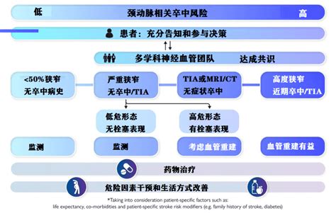 颈动脉狭窄是否要介入，不能只看狭窄！esc相关学会共识多普勒患者程度