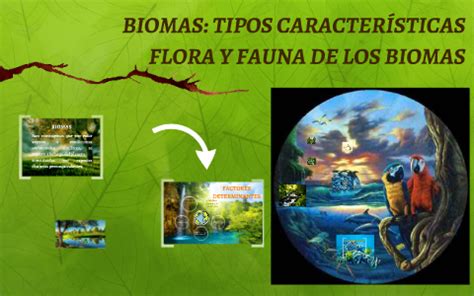 Biomas Tipos Caracter Sticas Flora Y Fauna De Los Biomas By Fiorela