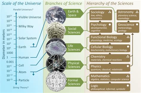 Genesis 1 And 2 Major Subjects Science Sociology Society