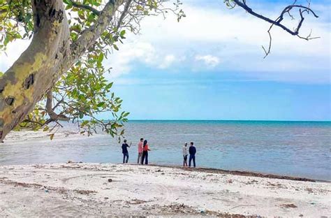 Pantai Mutiara Baru Lampung Timur Destinasi Wisata Yang Menawarkan