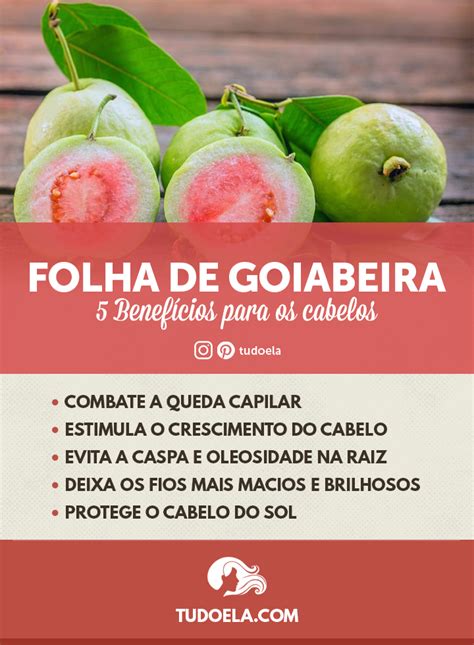 Folha de goiabeira para o cabelo veja os benefícios e como usar