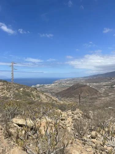 Best Wild Flowers Trails In Monumento Natural De La Monta A De Guaza