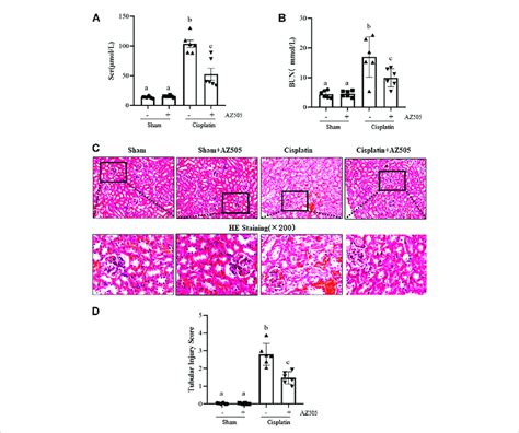 Inhibition Of SMYD2 With AZ505 Improves Kidney Function And Ameliorates