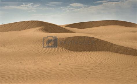 Beautiful Structure Of Dense Yellow Sand Dunes Of The Desert By