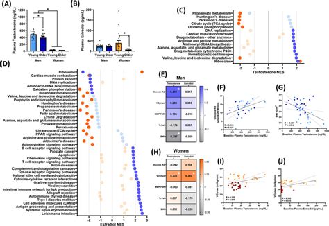 Impact Of Biological Sex And Sex Hormones On Molecular Signatures Of