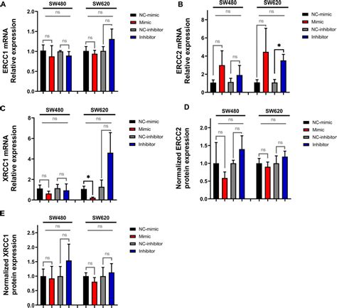 Frontiers Exploring The Impact Of MiR 92a 3p On FOLFOX