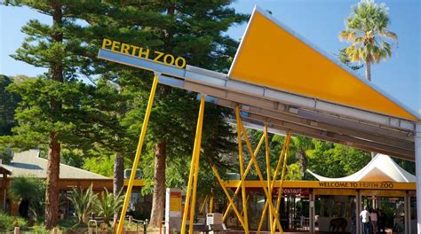 Perth Zoo Tours - Book Now | Expedia