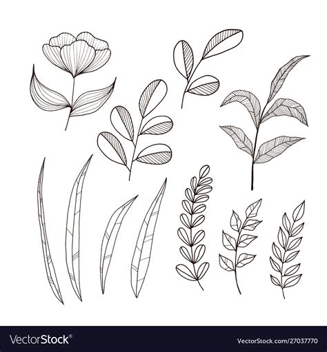 Drawings Of Flowers And Leaves