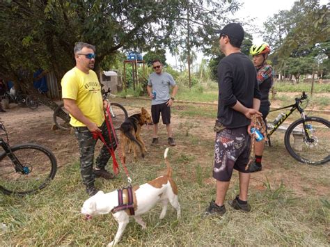 1º Pedal Solidário Arrecada 300kg De Ração Para Animais De Rua Em São