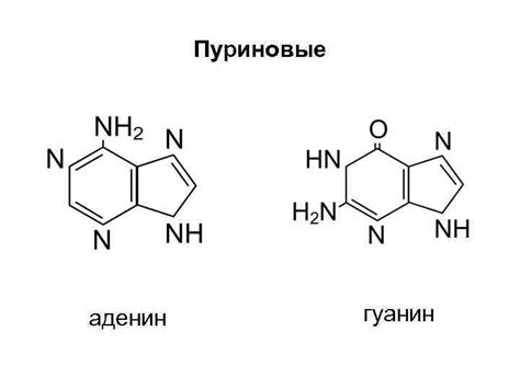 Пурин Гидроксипурины Ксантин Лактим-лактамная и прототропная таутомерия