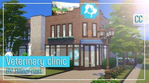 Veterinary Clinic Information Lot Size 30x20 Price 159 525§ Cc