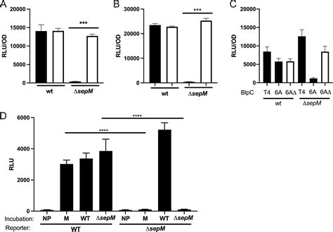 The Outer Surface Protease Sepm Is Required For Blp Locus Activation