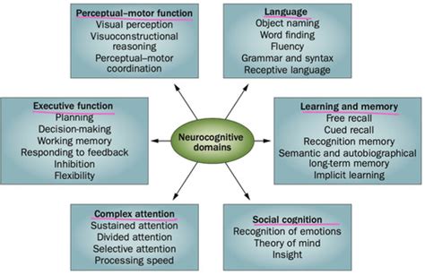 Confusion Memory Loss Dementia Flashcards Quizlet