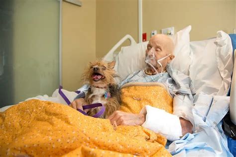 Vietnam veteran in hospice care reunites with beloved dog one last time