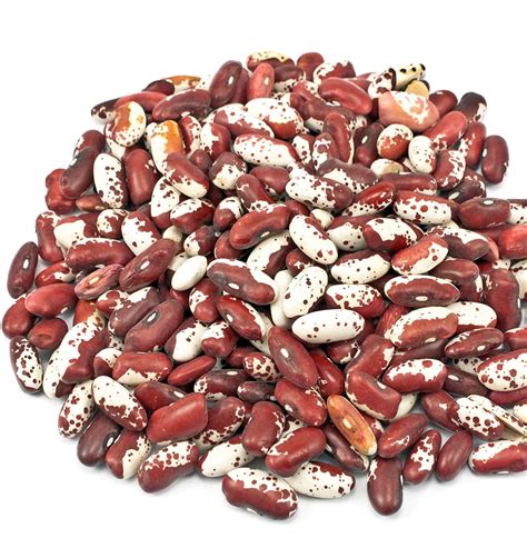 Simple Anasazi Beans Healthier Steps