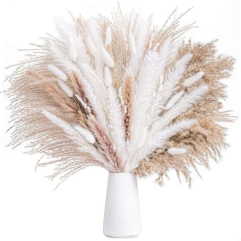 Caitelin Dried Pampas Grass Decor 92 Pcs 17 Inch Pampas Grass Bunny Tails Dried Flowers