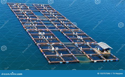 Seen From The Top A Group Of Floating Net Cages On Lake Toba This Cage