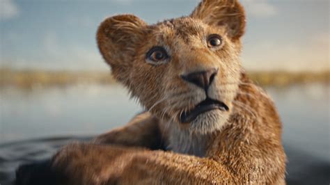 Mufasa Il re leone rilasciato il trailer del film con Beyoncé e la