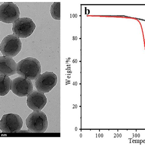 A Tem Photomicrographs Of Fluorescent Microspheres With Molecular