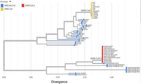 Scielo Brasil The Sars Cov Coronavirus And The Covid Outbreak