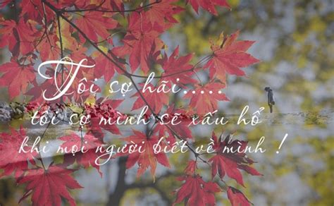 Thế giới SEX trong tôi Phần II Sinh Viên Công Giáo