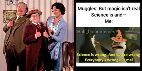 Harry Potter: 10 Memes That Perfectly Sum Up Muggles