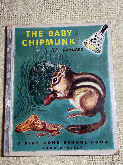 Baby Eastern Chipmunk