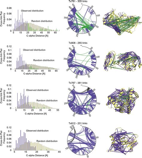 Blind Evaluation of Hybrid Protein Structure Analysis Methods based on ...