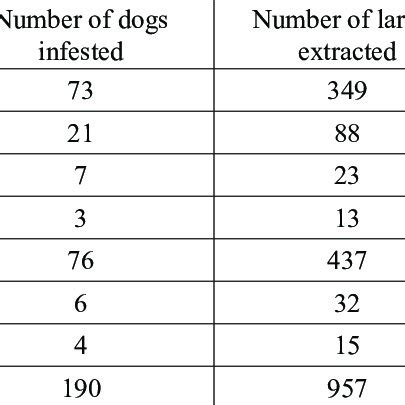 Cordylobia anthropophaga larvae parasitism according to breed of dogs | Download Table