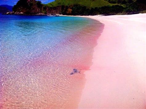 Pink Beach, Lombok Indonesia Places To See, Places To Travel, Travel Destinations, Places Around ...