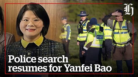 Search Efforts Resume For Yanfei Bao Nz Youtube