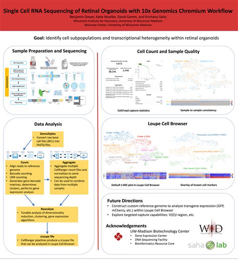 Single Cell Rna Sequencing Of Retinal Organoids With 10