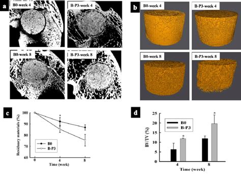 Micro Ct Analysis The Cross Sectional D Images A D Reconstruction