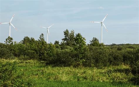 Poland S Enea Plans USD 3 4bn Spend On Renewables By 2042