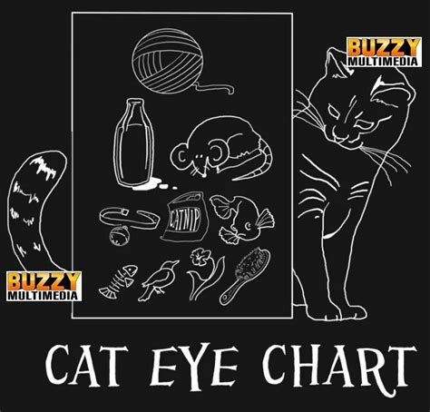 Cat Iris Chart