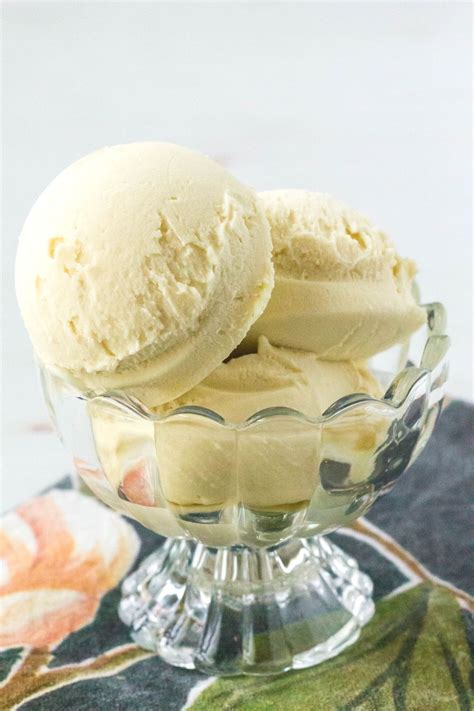 Ninja Creami Dairy Free Vanilla Ice Cream I Dream Of Ice Cream