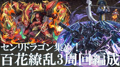 みんみん On Twitter 百花繚乱3〜センリドラゴン対応版 パズドラ 百花繚乱3 センリドラゴン センリ 極限降臨ラッシュ