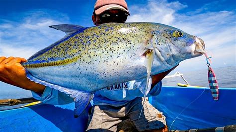 Mancing Jigging Tepat Di Pinggiran Tebing Karang Ngeri Ngeri Sedap